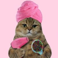 Я Девочка Мне можно