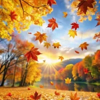 МБУК "Информационно-культурный центр"Великолукского округа