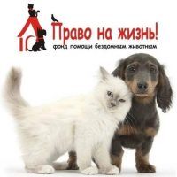 Помощь животным Ноябрьска