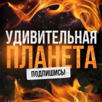 Удивительная планета