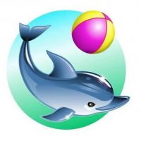 МБДОУ "Детский сад 146"