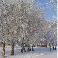 МКОУ ООШ с.Старобухарово