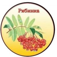 "Рябинка № 27 МАХ"