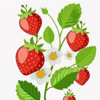 МКДОУ - детский сад "Земляничка"