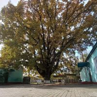 МКДОУ "КАРДОНОВСКИЙ ДЕТСКИЙ САД"