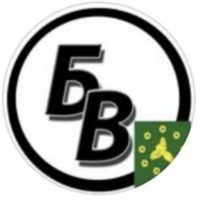 Бикинский вестник