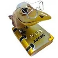 Архангельская областная специальная библиотека для слепых