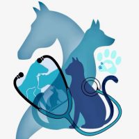 ГБУ Альшеевская райветстанция РБ