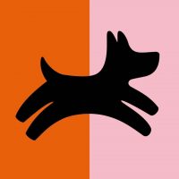 Зоомагазин Четыре Лапы