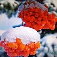 МКДОУ детский сад #3 "Рябинка" г. Белая Холуница