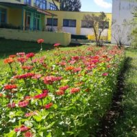 БОУ ТР ОО "ОКТЯБРЬСКАЯ СОШ"