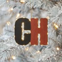 Сельская новь