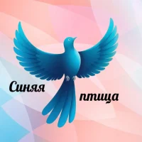МБДОУ Детский сад «Синяя птица»