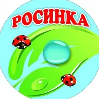 МДОУ "Детский сад комбинированного вида №221 "Росинка"