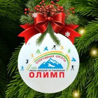 МБУ ДО СШ «Олимп», г.Губкинский