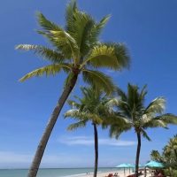 турагентство ТРАВЕЛАТА