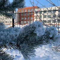 МАОУ СОШ № 5