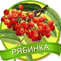 МБДОУ "ДС 3 Рябинка" С. Прохоры