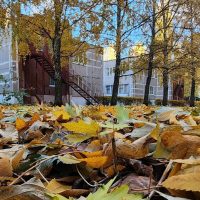 МБДОУ "Детский сад общеразвивающего вида #144"