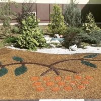 МБДОУ детский сад  №43 "Рябинушка" г. Пятигорск