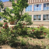 МКДОУ «Детский сад № 3 «Звездочка»