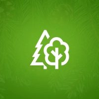 Министерство лесного комплекса ВО