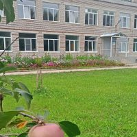 МОУ "Маловосновская школа"