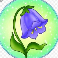 МАДОУ детский сад №4 станица Каневская