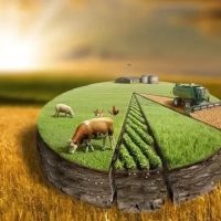 Управление сельского хозяйства Октябрьского МР ЕАО