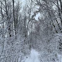 МКДОУ"ЦРР-д/с4"