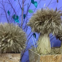 МАДОУ "Щедровский детский сад "Колосок"