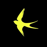 Налоги в деталях