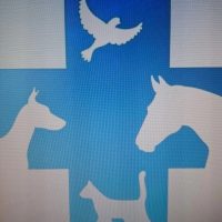 ОГБУ ТУЛУНСКАЯ СББЖ