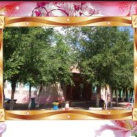 МБДОУ ДС №13 п. Владимирский