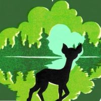 МБОУ ДО СЮН г.Кузнецка