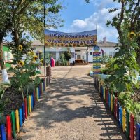 МАДОУ 14 Гривенской