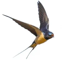 МДОУ "Детский сад № 21" г.Кириши