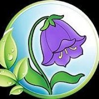 МБДОУ "Детский сад "Колокольчик"