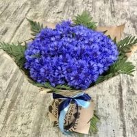 Детский сад №15 "Василек"