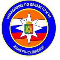 Управление по делам ГО и ЧС АСГО