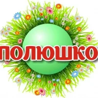 МДОУ "Детский сад "Полюшко" п. Нариманово