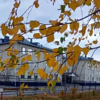 МБОУ Заброденская СОШ им. А.А. Царегородского