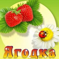 МБДОУ Детский сад "ЯГОДКА"