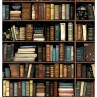 ПЕТРОВСКОЕ МБУК "МЦБ"