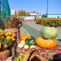 МОУ ИРМО "Столбовская НОШ"