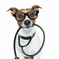 ГБУ ЛНР "СББЖ города Ровеньки"