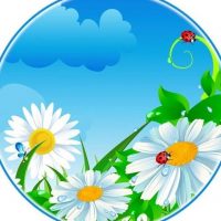 МДОУ детский сад "Ромашка"