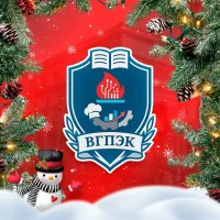 ГБПОУ ВО "ВГПЭК"