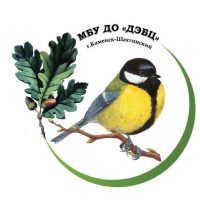 МБУ ДО "ДЭБЦ"