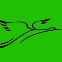 КАНАЛ МБОУ "Гимназия №4" г.Брянска